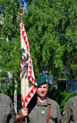 Standarte beim Kommandowechsel des Milkdo NÖ 2011 - Foto: Vzlt Möseneder Milkdo NÖ